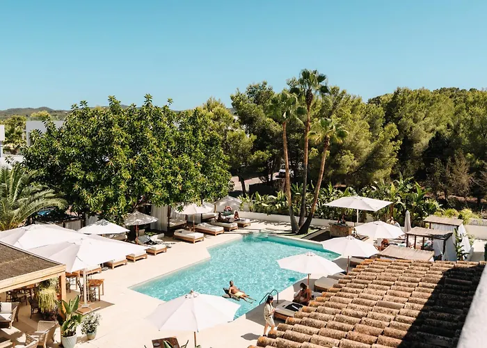 Hotel Boutique & Spa Las Mimosas Ibiza (Adults Only)